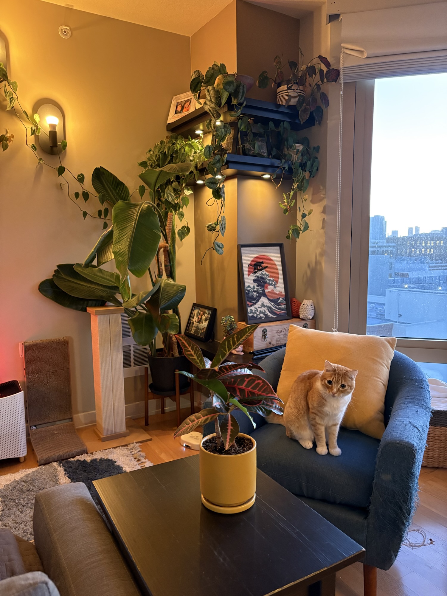 Cute Cat Furniture That Looks Good and Works Great: Our Favorite Picks for 2025